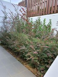 Changi South Lane (D16), Semi-Detached #501741551